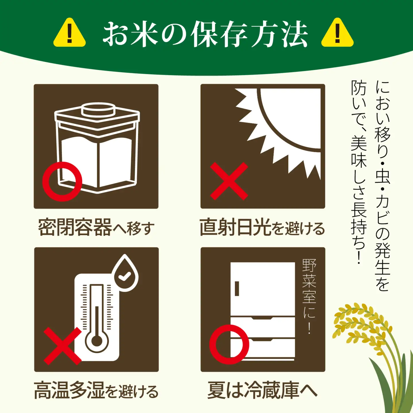 【ふるなびWEEK対象】【令和7年産】 にこまる 5kg 【6月配送】 |   にこまる 白米
