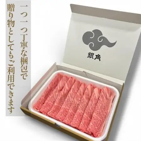 飛騨牛【白銀ロース】すき焼き・しゃぶしゃぶ用500g【配送不可地域：離島】【1681895】