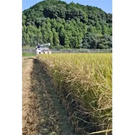 【毎月定期便】静岡こしひかり(精米)10kg×1袋全3回【4076036】