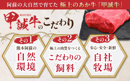 熊本和牛あか牛モモ ブロック 約500g あか牛モモブロック[AYCQ063]
