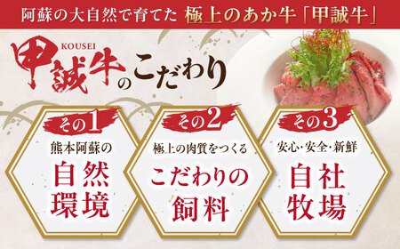 【全12回定期便】熊本和牛 あか牛 ローストビーフ 約200g ローストビーフ[AYCQ088]