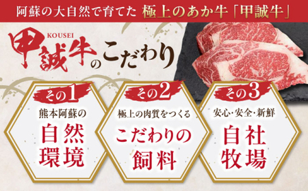 【全3回定期便】あか牛ロースステーキ 約200g×2枚 あか牛ロースステーキ[AYCQ098]