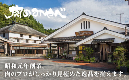 【全3回定期便】熊本肥育 桜コロッケ 馬肉 コロッケ 10個[AYDM014]