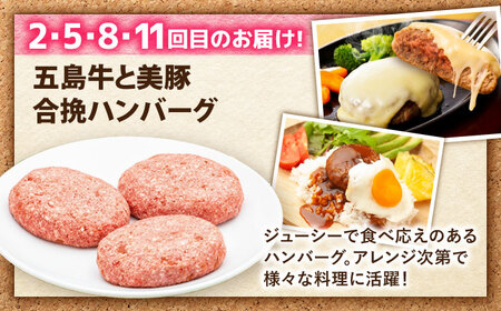 【12回定期便】食卓応援！お届け内容が毎月変わる五島牛定期便 五島市/ごとう農業協同組合[PAF107]