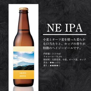 厳選 クラフトビール 3種 セット  NEIPA IPA スタウト 各2本 合計6本 / 瓶ビール ビール 地ビール エール セット 詰め合わせ 飲み比べ 家飲み おすすめ 人気 天然水 ギフト 贈り物 父の日 お歳暮 送料無料【n0655-06_tpm】