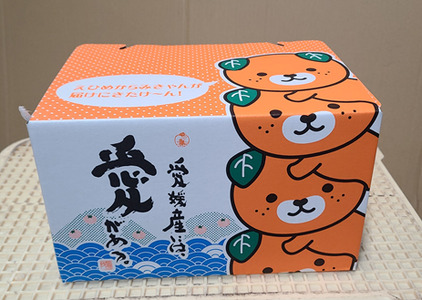 【2026年先行予約】レモン 愛媛 施設レモン ハウスレモン 2kg 【10月中旬から順次発送予定】数量限定 檸檬 柑橘 フルーツ ビタミン 池内果樹園 国産 伊予市｜A124