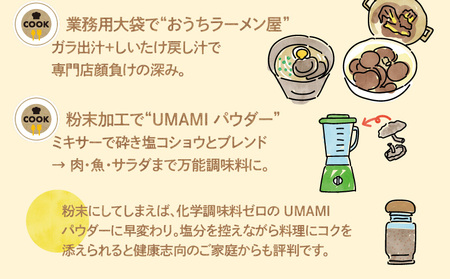 【 訳あり 】  鹿児島 原木 乾燥 しいたけ お得 セット 約500g K205-004