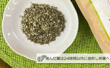 【国産 手摘み100%】南島原産 オリーブ茶 ティーバッグ×20袋（60ｇ） / お茶 茶 ティーパック / 南島原市 / ふるさと企画 [SBA095]