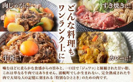 北海道産 黒毛和牛 うらほろ完熟ビーフ 切り落とし 900g 熟成 牛肉 浦幌