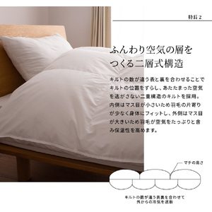 羽毛布団 【甲州羽毛ふとん】 限定品 本掛け二層式 ホワイトダウン90％ クイーン アイボリー 布団