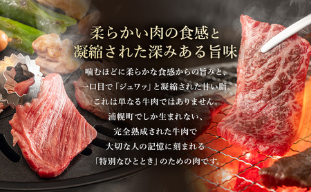 北海道産 黒毛和牛 焼肉セット 1050g (カタ バラ モモ) 熟成 完熟ビーフ 浦幌