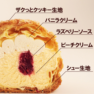 シューアイス 4個 ピーチメルバ味 シュークリーム iei005