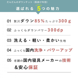 洗える 羽毛 肌掛け布団 1枚 日本製 シングル ダックダウン85％ 夏用
