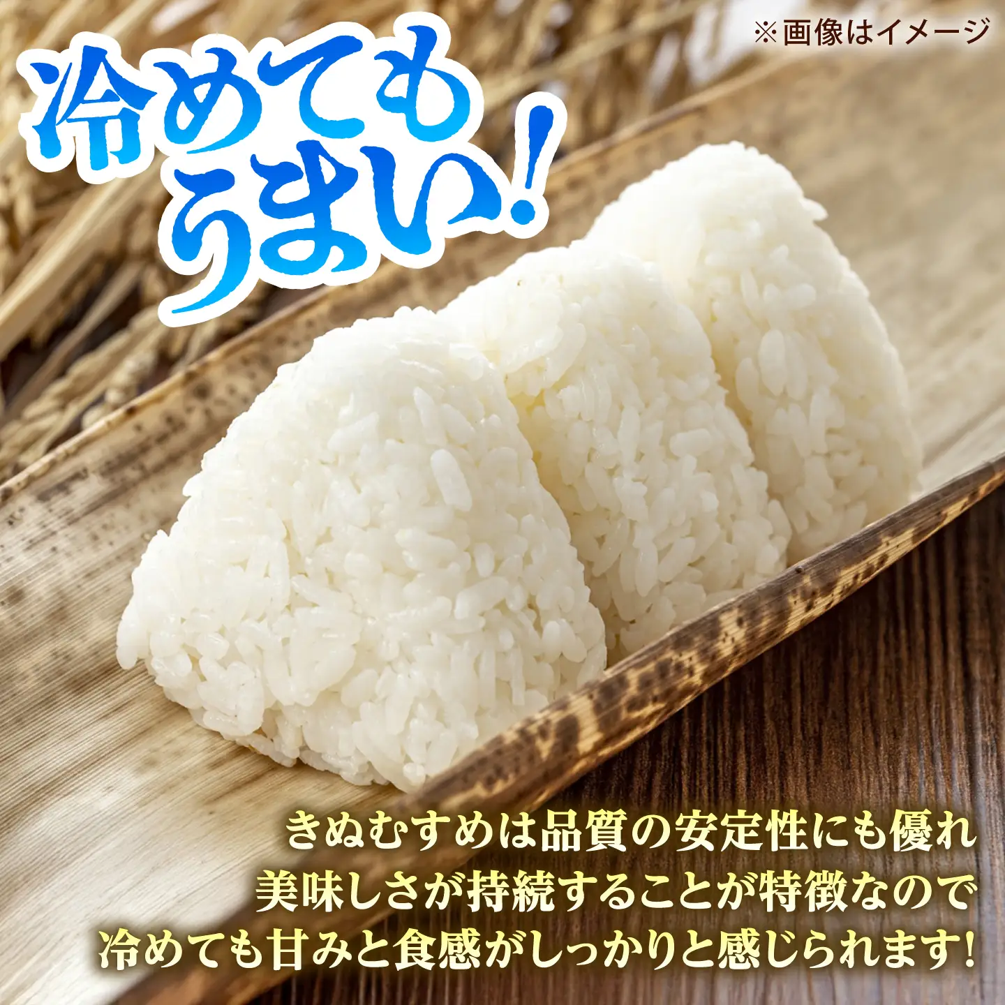【全3回定期便】雲南市産きぬむすめ 10kg（5kg×2袋）[AIDB103] きぬむすめ