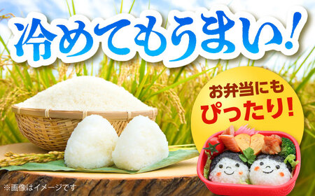 【令和7年産】雲南市産米 コシヒカリ 白米 5kg（5kg×1袋）精米 [AIDB105] 