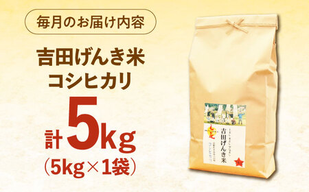 【全3回定期便】吉田げんき米コシヒカリ 5kg [AIDB120] コシヒカリ