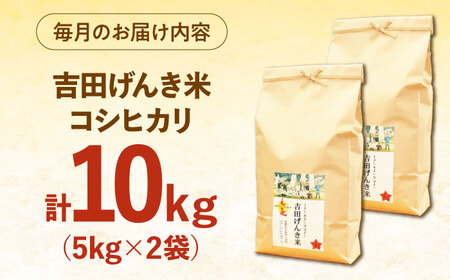 【全3回定期便】吉田げんき米コシヒカリ 10kg（5kg×2袋）[AIDB121] コシヒカリ