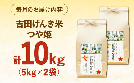 【全3回定期便】吉田げんき米つや姫 10kg（5kg×2袋）[AIDB127]