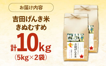 吉田げんき米きぬむすめ 10kg（5kg×2袋）[AIDB130]