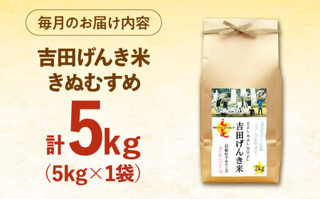 【全3回定期便】吉田げんき米きぬむすめ 5kg [AIDB132]