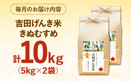 【全3回定期便】吉田げんき米きぬむすめ 10kg（5kg×2袋）[AIDB133]