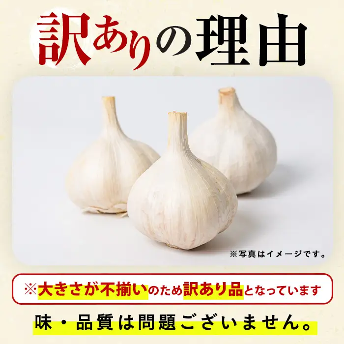 ＜先行予約受付中！2026年9月上旬以降順次発送予定＞＜訳あり・不揃い＞食後のにおいが気にならないニンニク(計1kg) にんにく ニンニク 野菜【116600200】【シイズンドアグリ】