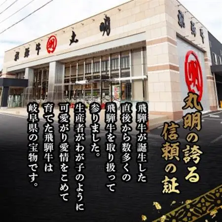 飛騨牛5等級　ヒレステーキ　約150g×4枚【配送不可地域：離島】【1683466】