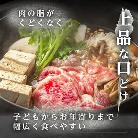 飛騨牛【白銀ロース】すき焼き・しゃぶしゃぶ用500g【配送不可地域：離島】【1681890】