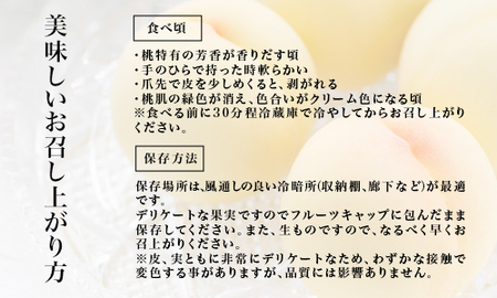 Eo-1【令和8年発送・先行予約】岡山県産　白桃6玉（合計1.6kg以上）　化粧箱入り