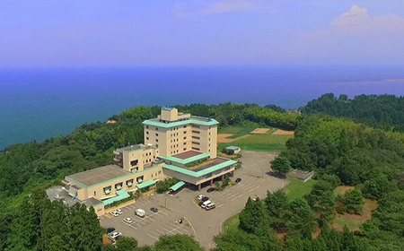 食事券 富山 ホテル 雨晴温泉 磯はなび 日帰り ペア 温泉 旅行 旅行券 旅行クーポン お食事券 ホテル券 ギフト券 商品券 優待券 温泉利用券 入場券 チケット 富山県 旅館 富山県高岡市  FAD-0172