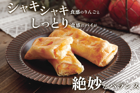 アップルパイ パティシエのりんごスティック＆ショコラ 各6本 計12本 ラグノオささき