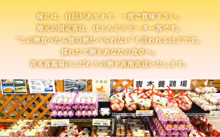 日本を代表する地鶏　名古屋コーチン卵　60個入