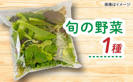 【全12回定期便】糸島産 魚 米 野菜 果物 厳選詰め合わせ MINORI BOX Sサイズ 糸島市 / emma.Inc / 米 魚 野菜 詰め合わせ[AOP022]