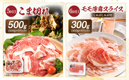 【全6回】《放牧和豚》シンプル定期便 豚 豚肉 ロース スライス しゃぶしゃぶ バラ 肩ロース ロース 焼き肉 焼肉 ミンチ ひき肉 挽き肉 挽肉 こま切れ 豚コマ 真空パック 薄霧