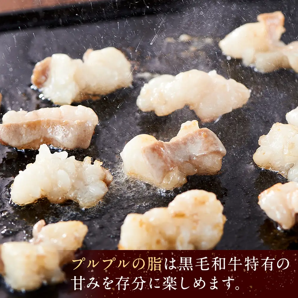 勘治郎の絶品ホルモン【とろける黒毛和牛】900g（300g×3P） ホルモン