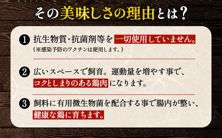 【毎月定期便（6ヵ月）】恵那どり　手羽中　冷凍　バラ凍【2kg】 [No.1141] ／ 鶏 お肉 とり 岐阜県