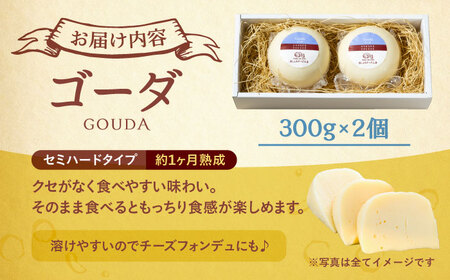 ゴーダチーズ 300g×2個【足寄町/あしょろチーズ工房】 [BEAU001]