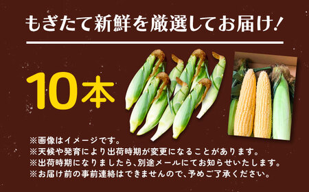 【先行予約】北海道 朝もぎとうもろこし 10本【8月上旬以降発送】《足寄町》とうもろこし [BEAA003]