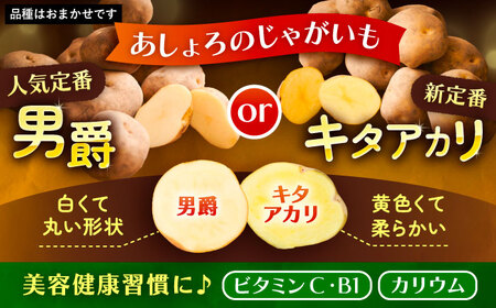 【先行予約】北海道産 じゃがいも＆かぼちゃ 計10kg [BEAA009]
