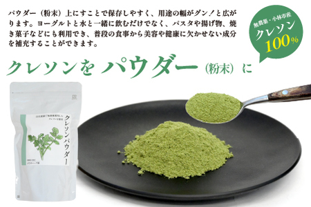 【注目のスーパーフード】天然クレソンパウダー 100g（国産 天然 粉末 パウダー 美容 野菜）
