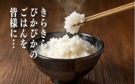 令和7年産 コシヒカリ 精米 5kg 奈良県産 | お米 ライス コシヒカリ 奈良県 平群