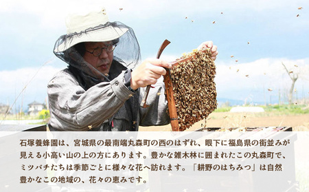 耕野のはちみつ　apis Honey Stick 　7g×6本【21114】