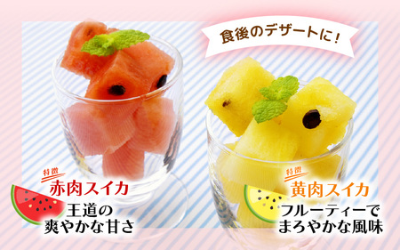 【先行予約】やまびこ農園の秋の赤と黄の小玉スイカ 食べ比べセット 合計2玉入り (1玉当たり：2kg前後) 【2026年9月中旬以降順次発送予定】 【スイカ 西瓜 すいか 小玉 デザート 果物 くだもの 秋 ジューシー お取り寄せ グルメ 産地直送】 [A-21903]
