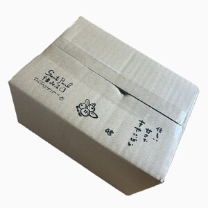 横山農園の冷凍ブルーベリー400g×3袋【CH-001】