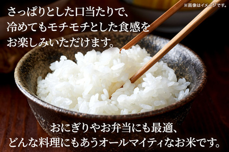 【白米】令和7年産 宮城県栗原産 ひとめぼれ 5kg（5kg×1袋）さっぱり モチモチ おにぎり お弁当
