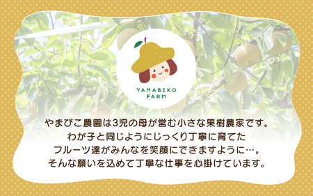 先行予約 幸水梨 3kg (3L～5Lサイズ) 6~8玉入り【2026年8月中旬～9月上旬発送】 梨 和梨 なし [A-21901_01]