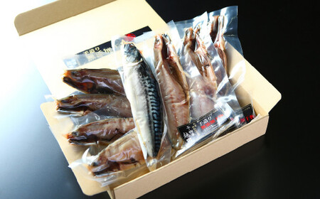 【6ヶ月定期便】越田の干物　さば(1枚入)×8パック 干物 鯖 さば