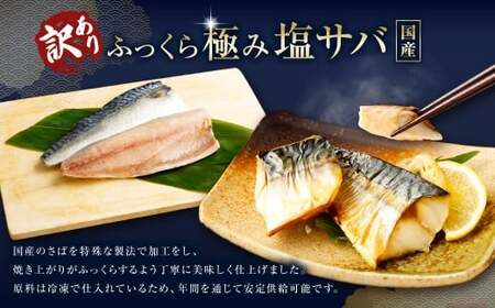 【3ヶ月定期便】【訳あり】国産 ふっくら 極み塩サバ 計約1kg ／ 1切れ 塩サバ 塩さば 塩鯖 さば サバ 鯖 魚