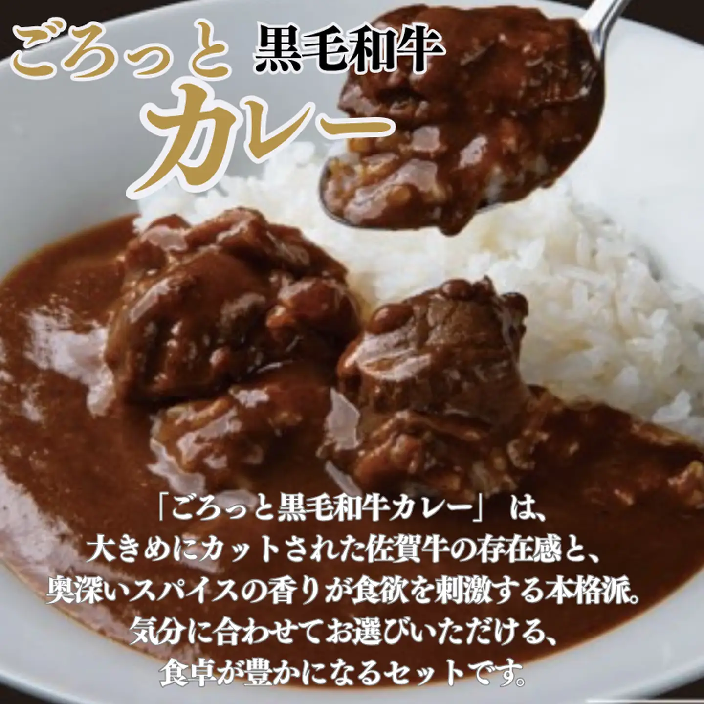 ごろっとカレー・ビーフシチューセット 佐賀牛 カレー ビーフシチュー レトルト 湯煎 レンジ調理 簡単 ：A080-012