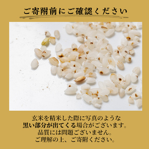 【B7137】上士別清流米 ゆめぴりか 玄米 (5kg) 米 お米 玄米 北海道米 ごはん ゆめぴりか 北海道産 士別産 5kg 【合同会社T&M】